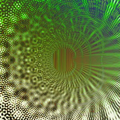 #313000336