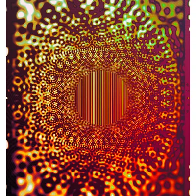 #313000371