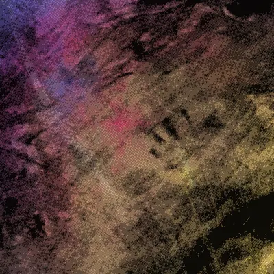 #317000245