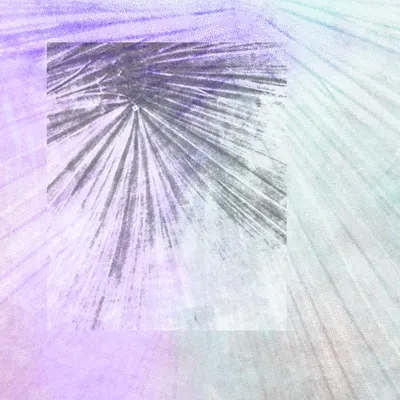 #317000293
