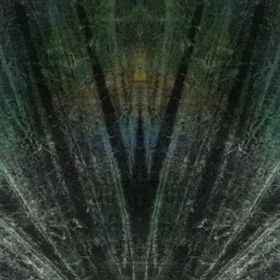 #317000297