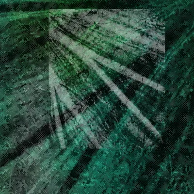 #317000394