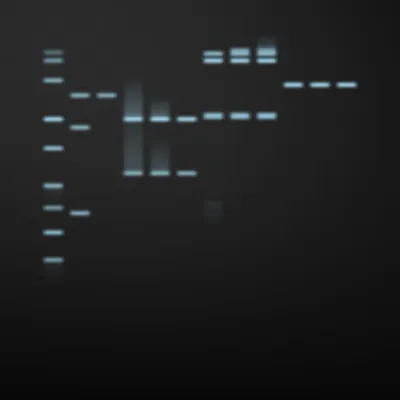 #322000002