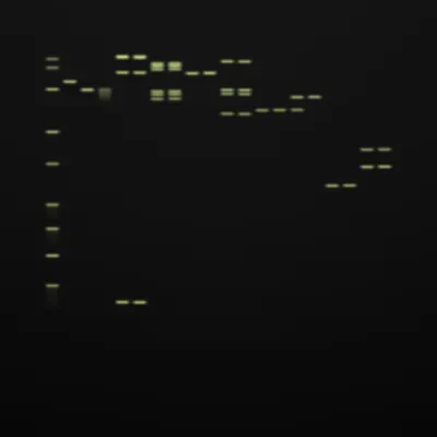 #322000005