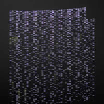 #322000008