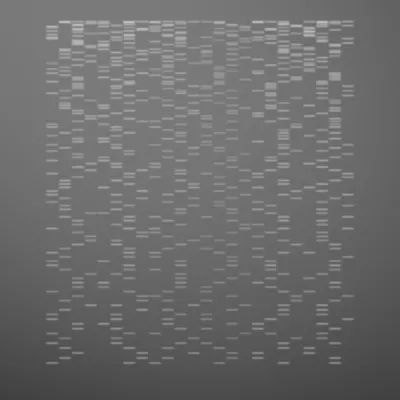 #322000009