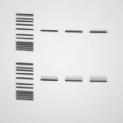#322000011