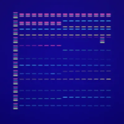 #322000012