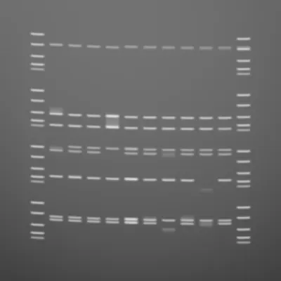 #322000028