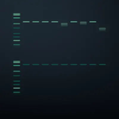 #322000029