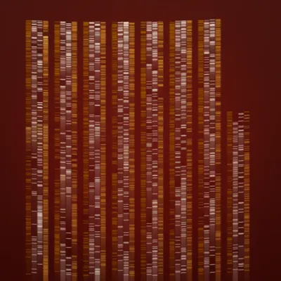 #322000038