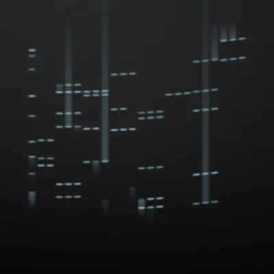 #322000048