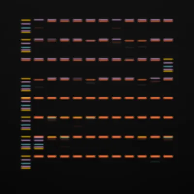 #322000049