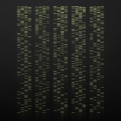 #322000058