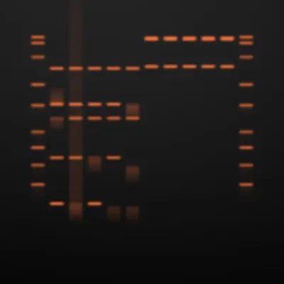 #322000059