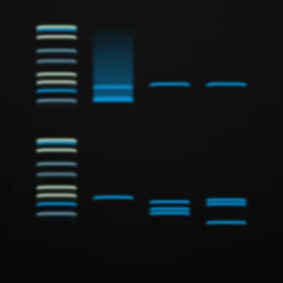 #322000063