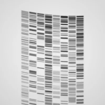 #322000064