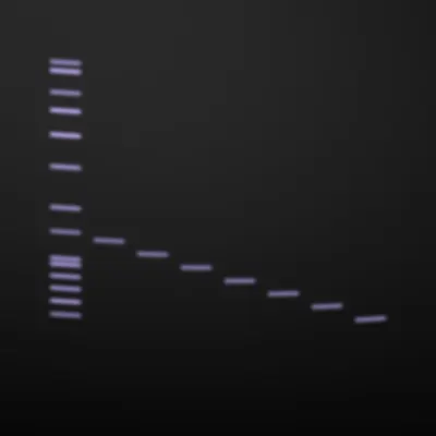 #322000070