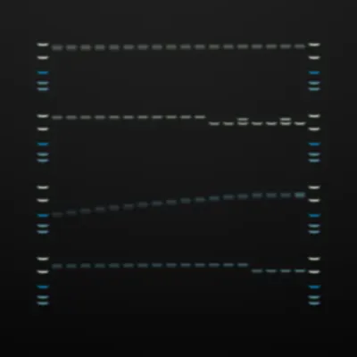 #322000073