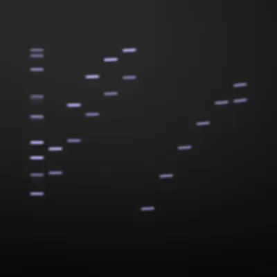 #322000074