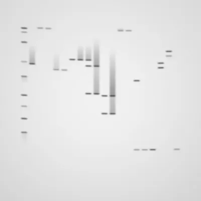 #322000076