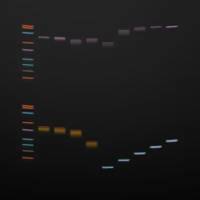 #322000077