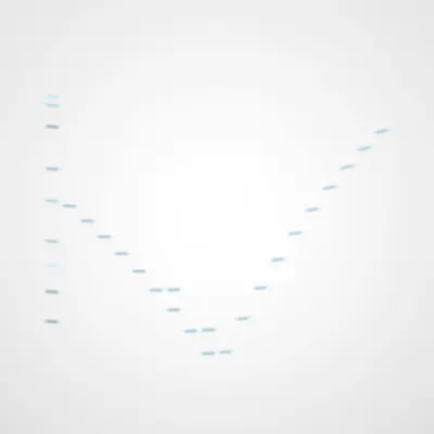 #322000081