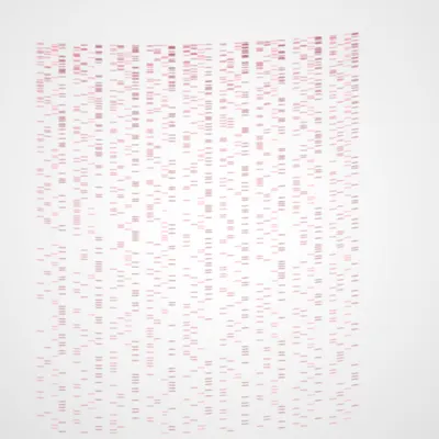 #322000082
