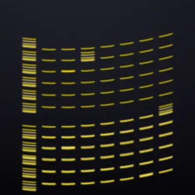 #322000085