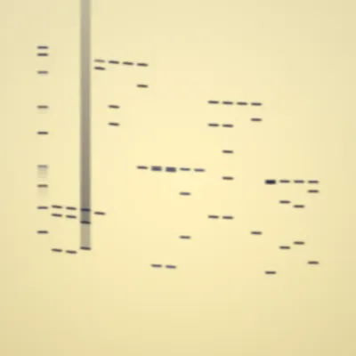 #322000091