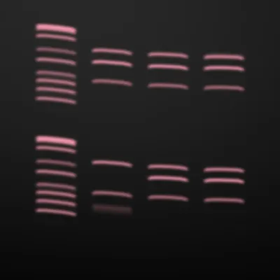 #322000096