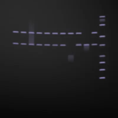 #322000097