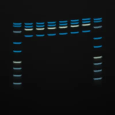 #322000130