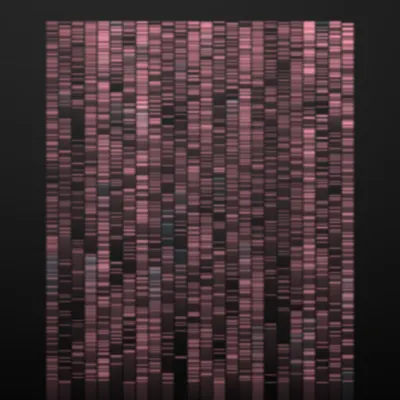 #322000131