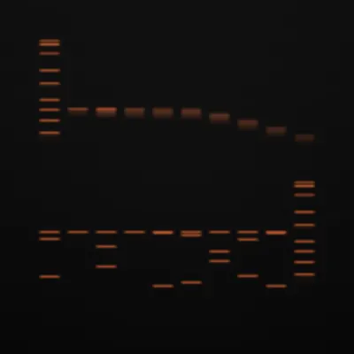 #322000137