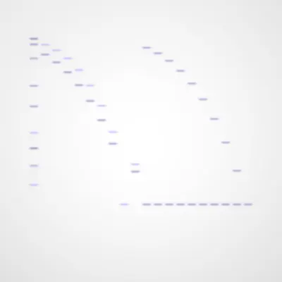 #322000138