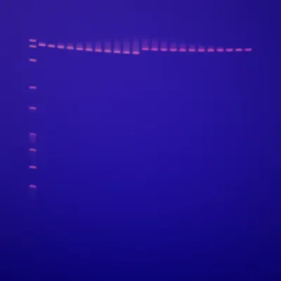 #322000144