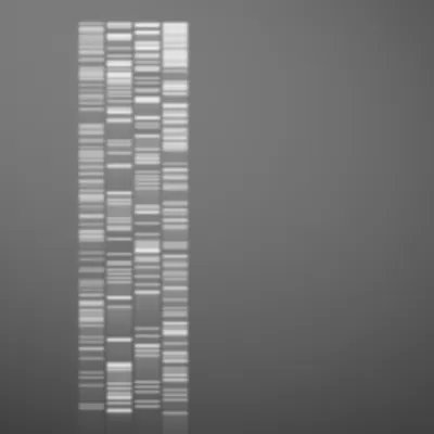 #322000146