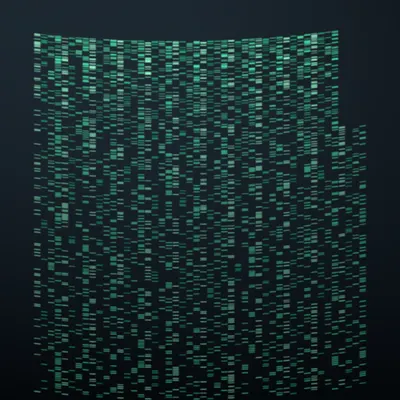 #322000148