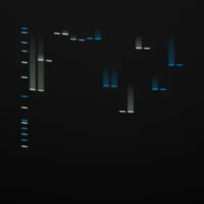 #322000149