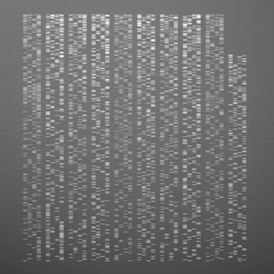 #322000153
