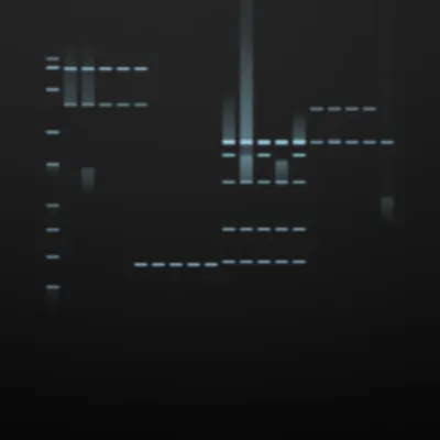 #322000156