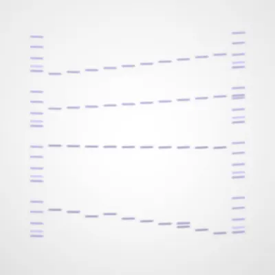 #322000157