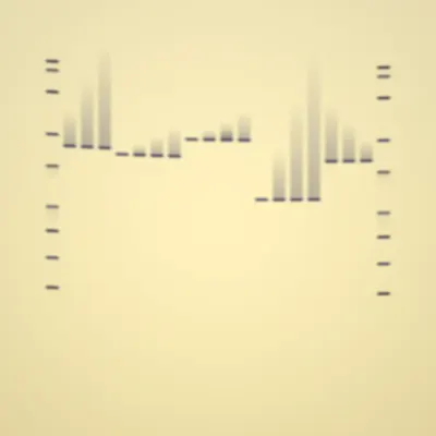 #322000180