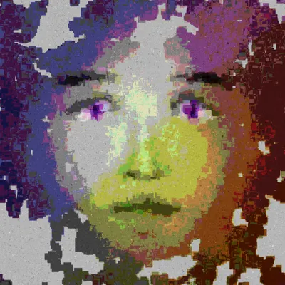#323000016