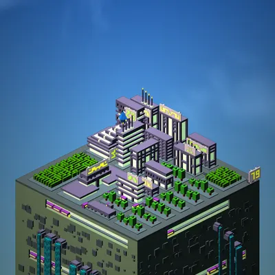 #331000079