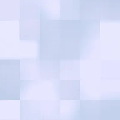 #332000019