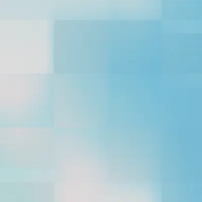 #332000079