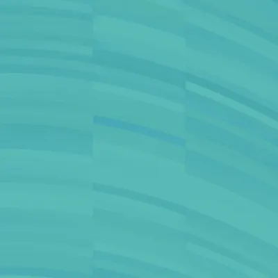 #332000219