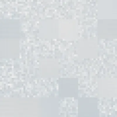 #332000244